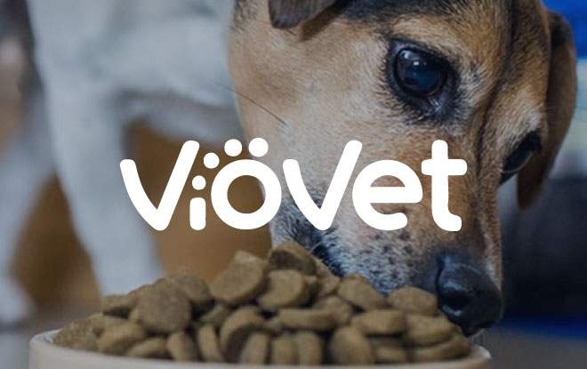 VioVet s Education Led Emails Help Boost Veterinary Supply Sales